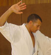 Serge SERFATI