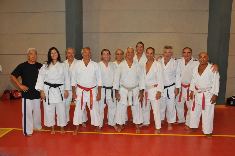 Stage Experts Karate Montpellier