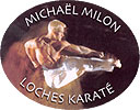 Mickaël MILON